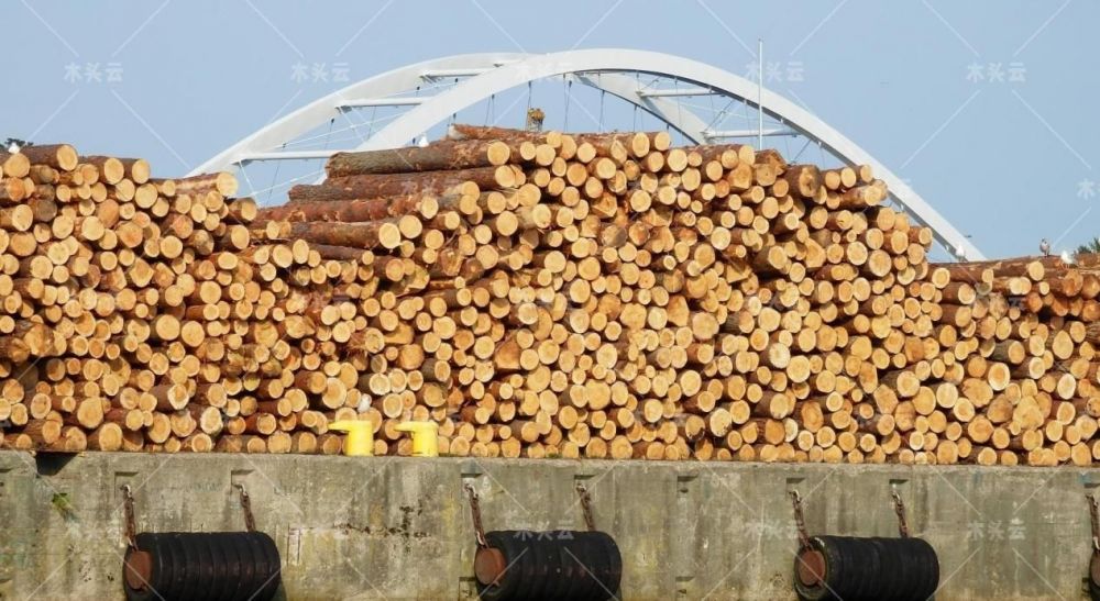 供应链压力增大，木材价格高位震荡