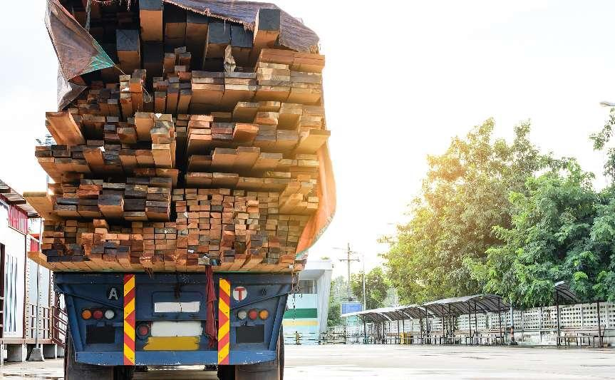 英国林业贸易协会警告：我们正进入木材短缺危机