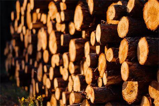 卢森堡近一半以上原木出口到中国和亚洲