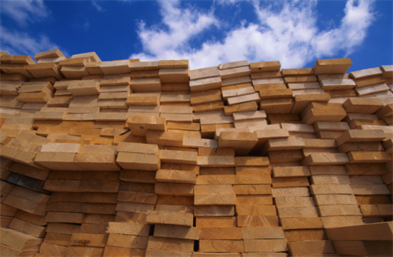 全球通胀高企，对国内木材市场有何影响?