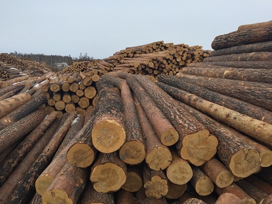 宜家产品屡遭质疑，国内木材市场是否受影响?