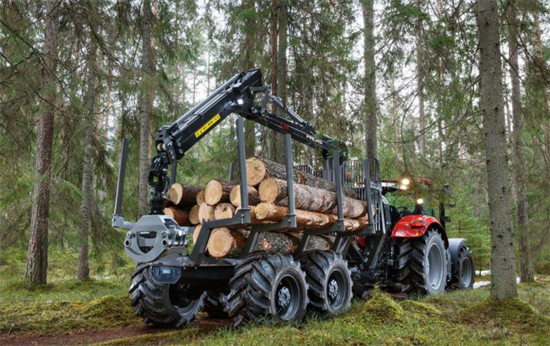 今年以来，俄罗斯的木材运输减少了23%