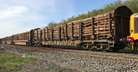 1-11月，俄罗斯铁路木材运输下降明显
