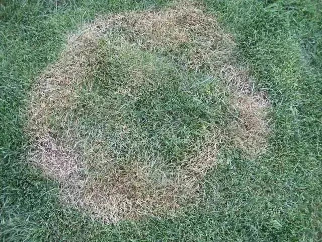 05_看图王.web.jpg