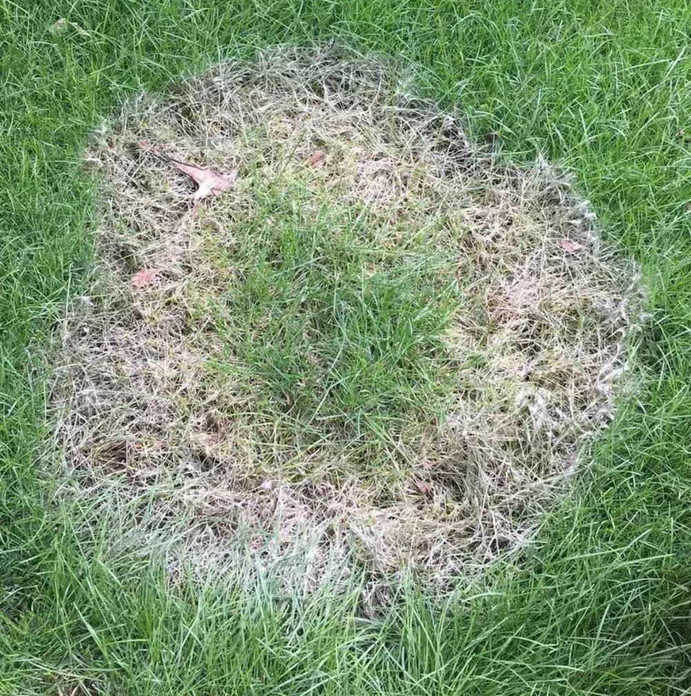 06_看图王.web.jpg